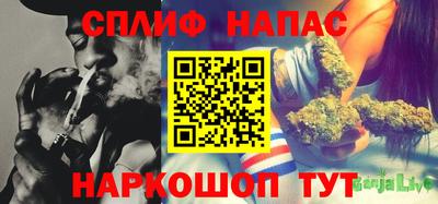 СК Будённовск
