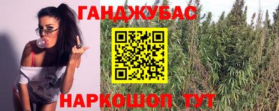 СК Будённовск