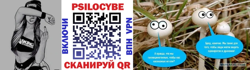 даркнет телеграм Рязань Галлюциногенные грибы GOLDEN TEACHER
